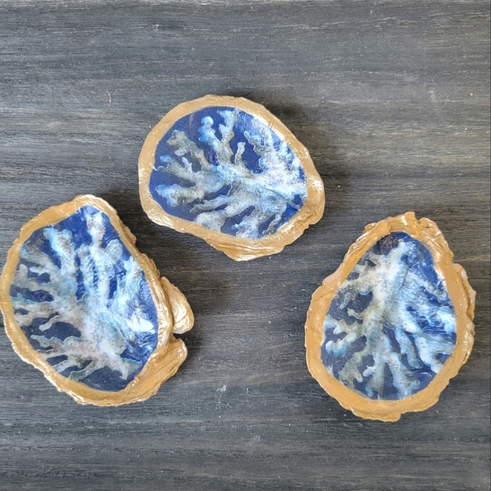 Set of 3 oyster shell decor accents